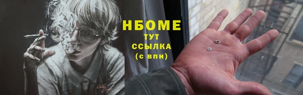 стаф Абинск
