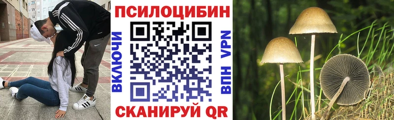 закладка  Грозный  Галлюциногенные грибы GOLDEN TEACHER 
